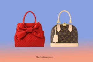 Read more about the article 10 Tips on How To Choose Handbag For Everyday Use – MyBagsZone